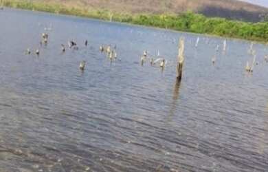 Imagem 10: Fazenda 2.350 ALQ, Paranã - TO