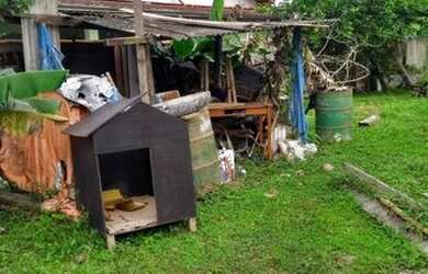 Imagem 5: VENDO TERRENO - BARRANCO ALTO - CARAGUATATUBA - SÃO PAULO