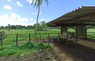 Imagem 10: Oportunidade Venda Granja Sao Jose Mipibu 23.640 M2