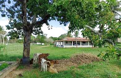 Imagem 8: Oportunidade Venda Granja Sao Jose Mipibu 23.640 M2