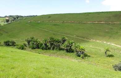 Imagem 1: Fazenda para Venda em Passo de Camaragibe, Zona Rural