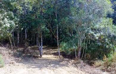 Imagem 8: Lote/Terreno para venda tem 1000 metros quadrados em Recreio Estoril -...