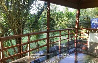 Imagem 5: Vende-se Propriedade Rural - AM-352, Km 42 - Novo Airão/AM