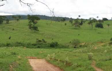 Imagem: A fazenda está localizado em Uberlândia, MG à venda por R$60.000.000