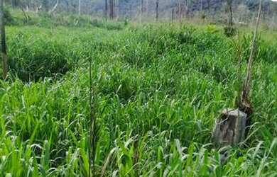 Imagem: A fazenda possui 900m² de Área Privada e está localizado