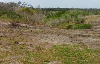 Imagem 12: FAZENDA RURAL em SANTA CRUZ CABRÁLIA - BA, R. Estr. Velha
