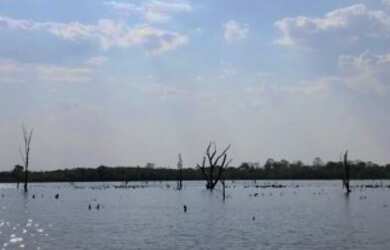 Imagem 12: Fazenda 2.350 ALQ, Paranã - TO