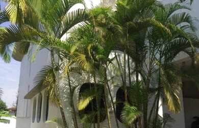 Imagem 14: Casa com 5 dormitórios, 500 m² - venda por R$ 3.200.000,00 ou aluguel...