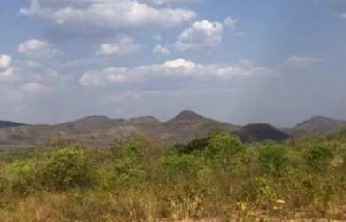 Imagem 5: Fazenda 2.350 ALQ, Paranã - TO