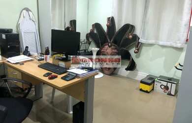 Imagem 14: SOBRADO MARAVILHOSO A 7 MINUTOS DO METRÔ E SHOPPING TUCURUVI