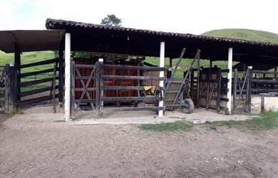 Imagem 6: Fazenda para Venda em Passo de Camaragibe, Zona Rural