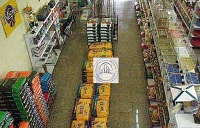 Imagem 2: Prédio à venda, 1100 m² por R$ 5.999.000,00 - Tucuruvi - São Paulo/SP