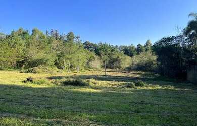 Imagem 11: Sítio Plano E Com Nascente Para Fazer Açude. ROB:364