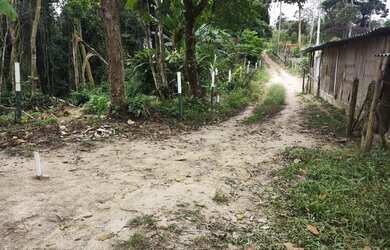 Imagem 3: Excelente imóvel de 500 m2