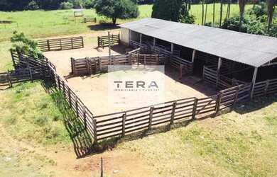 Imagem 8: Fazenda para Venda em Bela Vista de Goiás, Zona Rural