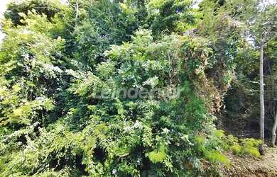 Imagem 16: Locação Casa em Condomínio GRAVATAI RS Brasil