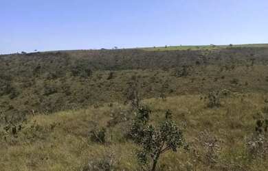 Imagem 2: FAZENDA - ÁREA IDEAL PARA COMPENSAÇÃO AMBIENTAL - CERRADO - BACIA DO...