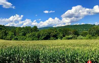 Imagem 8: Sítio / Chácara para Venda em Nova Petrópolis, Pinhal Alto, 3 dormitórios,...