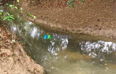 Imagem 11: FAZENDA À VENDA - 275 HECTARES - REGIÃO DE CURVELO MG