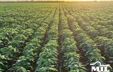 Imagem: A fazenda está localizado em Acreúna, GO à venda por R$64.740.000