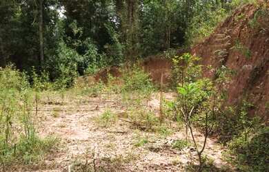 Imagem 5: Terreno em Paraju - Domingos Martins, 2.000 m²