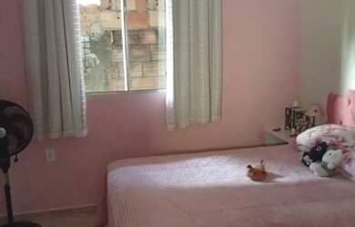 Imagem 12: Maravilhosa casa em av principal colônia Santa Isabel