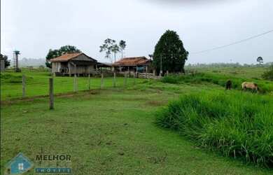 Imagem: Fazenda 210 alqueires Machadinho D x27 Oeste