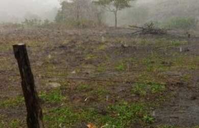 Imagem 10: FAZENDA RURAL em SANTA CRUZ CABRÁLIA - BA, R. Estr. Velha