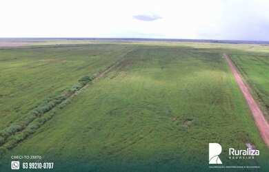 Imagem 2: Fazenda de projeto irrigado por controle de lençol freático na Lagoa...