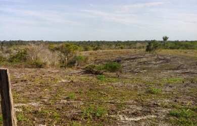 Imagem 6: FAZENDA RURAL em SANTA CRUZ CABRÁLIA - BA, R. Estr. Velha