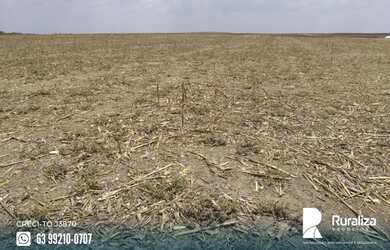 Imagem 5: Fazenda com 4.602,69 hectares e alto potencial para agricultura na região...