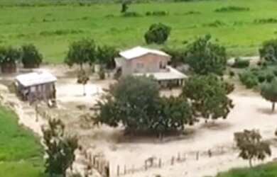 Imagem 3: Fazenda 2.350 ALQ, Paranã - TO