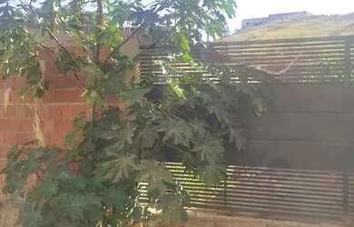 Imagem 4: Lote Vicente Pires. 120m² de Área, 1 Vaga na garageme1 Dormitório