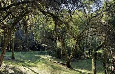 Imagem: O terreno possui 3.333m² de Área e está localizado em Fiuza