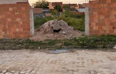 Imagem: O terreno possui 150m² de Área e está localizado em Conceição