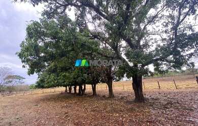 Imagem 5: FAZENDA À VENDA - 275 HECTARES - REGIÃO DE CURVELO MG