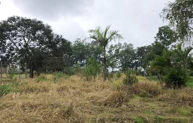 Imagem 5: Terreno mil metros em Itatiaiuçu