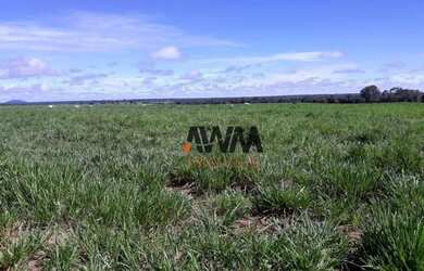 Imagem 8: Fazenda à venda, 501 alqueires por R$ 90.180.000 - Centro - Porangatu/GO