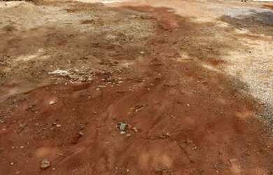 Imagem 2: Aluguel de rancho para pescaria represa de Três Marias