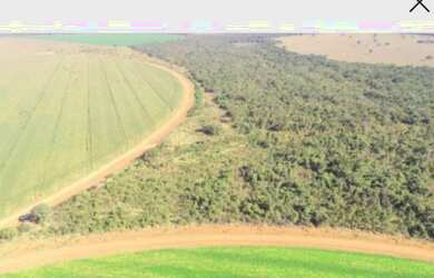 Imagem 6: Fazenda em Paracatu-MG, 2.200 hectares
