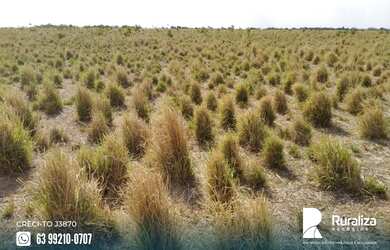 Imagem 11: Fazenda com 4.602,69 hectares e alto potencial para agricultura na região...