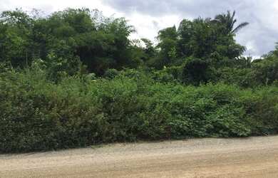 Imagem 12: VENDO OU TROCO TERRENO EM ROSÁRIO/MA