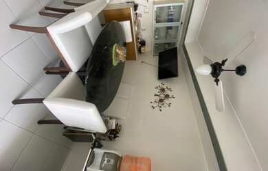 Imagem 4: Ilha do sul vista deslumbrante Parque vila lobos e city boaçava