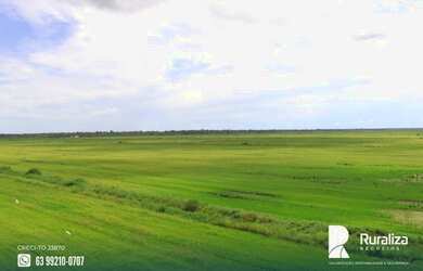 Imagem 6: Fazenda de projeto irrigado por controle de lençol freático na Lagoa...