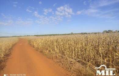 Imagem 6: Fazenda Agrícola em Pedro Afonso-TO. gt 445 Alq. 2.154Há