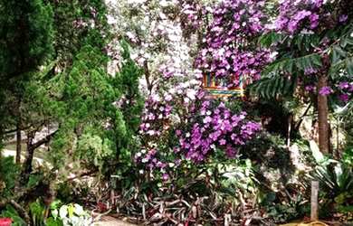 Imagem: A fazenda possui 800m² de Área e está localizado em Domingos