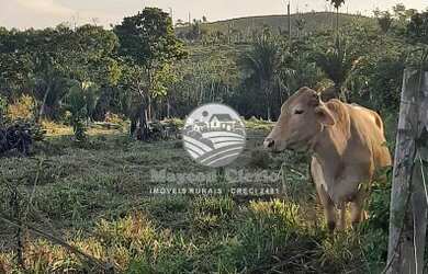 Imagem: A fazenda possui 410000m² de Área e está localizado em Machadinho