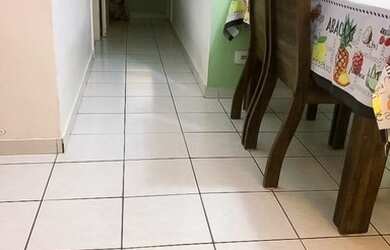 Imagem 4: São Paulo - Apartamento Padrão - Ipiranga