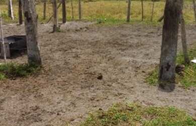 Imagem 13: FAZENDA RURAL em SANTA CRUZ CABRÁLIA - BA, R. Estr. Velha