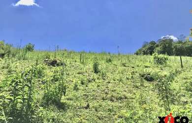 Imagem 12: Sítio / Chácara para Venda em Nova Petrópolis, Linha Pirajá Baixa